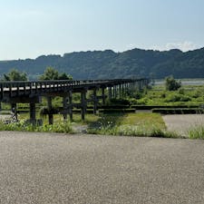 蓬莱橋(大井川)
ギネスにも登録されて居ます、蓬莱橋900メール有るそうですね、余りにも、長い橋でオイラは心が折れ辞めて引き返しましたよ。

#サント船長の写真
#東海道五拾三次