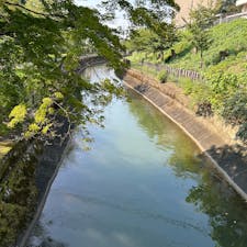 京都府/山科疏水

桜や紅葉の頃は散策に持ってこいの場所だと思います。
青葉がとても美しかったのですが、まだまだ残暑がきびしく、ランニングされている方も汗ビッショリでした。

#puku2"24
#puku2'09
#puku2青春18きっぷ旅
#京都#山科#神社仏閣