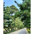 【松原遊歩道】in埼玉県草加市

松並木がすごく綺麗でランニングやお散歩してる方が沢山いました✨

2024.9.8🍂