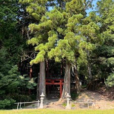 九頭神社

京都の京北にある、ひっそりとした神社。
パワースポット巡りです♪
雰囲気良かったです、ゆったりした感じがしました。
2024.9.8