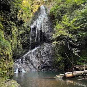 滝又の滝

京都の右京区京北にある滝。
あー、歩いたら滝の上にでました。
下ると、ひっそりとした感じで
マイナスイオンがいいですね♪
2024.9.8