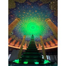 🇹🇭【タイ】パタヤ・バンコク 6泊7日の旅
・ワットプラケオ（バンコク）
・ワットマハタート（アユタヤ遺跡）
・ターミナル21（パタヤ）
・水上マーケット（パタヤ）
・タイガーパーク（パタヤ）
・エレファントビレッジ（パタヤ）
・サンクチュアリーオブトゥルース（パタヤ）
・ワットポー（バンコク）
・ワットチャイワッタナーラーム（アユタヤ遺跡）
・イムちゃん食堂のパッタイ（バンコク）

イムちゃん食堂は何を食べてもとても美味しかったです！
ローカルレストランでとてもおすすめ🫶