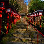 紅葉も綺麗で神秘的な神社でした