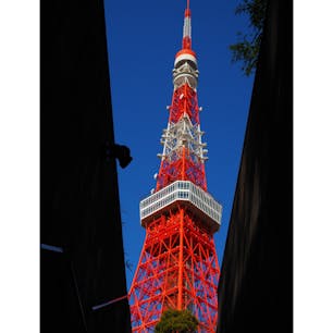 六本木からの東京タワー