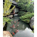 【銘石の宿 かげつ】in山梨県石和温泉♨️

石和温泉にあるかげつは日本庭園がとっても綺麗でその中を8千匹の錦鯉が泳ぐとても美しい旅館です✨
全国各地から集められた珍しい石が旅館の客室や廊下、温泉などでたくさん見ることができます💎✨
お料理も美味しく、プロが選ぶホテル•旅館100選にも選ばれています！
オススメのお宿でした✨

2023.8