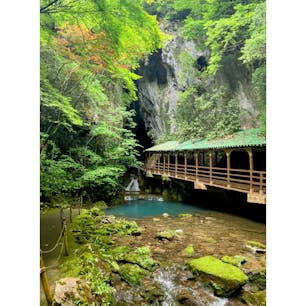 山口　秋芳洞

こんなに広い鍾乳洞は
初めて見ました