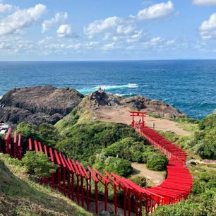 山口　元乃隅神社

ようやく行けました
赤い鳥居が龍のよう
素敵な神社