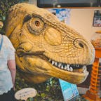 【道の駅 なるさわ】in山梨県南都留郡鳴沢村

こちらの恐竜🦖は道の駅の敷地内にある、なるさわ富士山博物館（無料）に行った時のもの！
富士山ができた原因や今どんな活動が行われているのかなど富士山について学べる施設がありました🗻✨
もちろん富士山も見れるし、地下から汲み上げている富士山の美味しい水が飲めたり✨　なかなか遊べる道の駅でした！！

2023.8