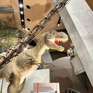 【群馬県立自然史博物館】in群馬県富岡市

たくさんの展示に子供はもちろん大人も大興奮ですごく学べるスポットです！
2023に行ったのですがこの時はポケモンとのコラボもしていて化石ポケモンの展示もやっていました✨
外の公園がリニューアルしたらしいのでまた行きたいスポット✨

2023.8