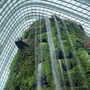 クラウドフォレスト
#202406 #sシンガポール