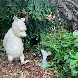 フラワーガーデン
年パスとかで行きたい場所〜
予定ぎっしりの旅行だとしたらクラウドフォレストだけで十分だとわかってて行ってしまう🤭
#202406 #sシンガポール