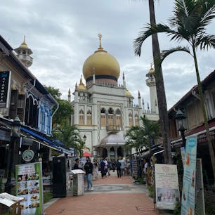 アラブストリート
店員さんとツーショ撮った✌️
#202406 #sシンガポール