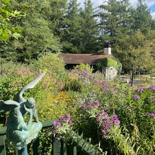 雰囲気があり、落ち着く庭園です