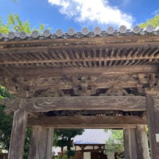 20240923
佐賀　鳥栖　
西法寺

西法寺の四脚門
総欅造、1間一戸の四脚門で、屋根は切妻造りの本瓦葺
大棟の両端に鯱、屋根の四隅に唐獅子がいます
頭貫の先端には獅子頭、前足の裏には肉球？

よーく見てみると本蟇股に五七桐十六葉菊の彫刻
門扉も菊花文の透かし彫りが見事
そんなに大きな山門ではないのですが
よく見てみると立派です

入ると大きな池？山から流れてきてるのかな？
敷地内に綺麗な水が流れ込んできています
大きな銀杏の木は樹齢510年