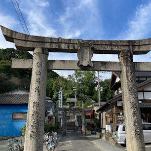 20240923
佐賀　みやき
綾部八幡神社

風の神を祀る神社で、日本最古の天気予報ともいわれる「旗上げ神事」「旗下ろし神事」から「日本最古の気象台」とも呼ばれています

たまたま行ったこの日は旗下ろし神事が行われていました
命綱なしで氏子が神木に登り旗上げした真竹を下ろします
こちらの御神木、樹齢700年！
その竹の枝をもらうとご利益があるらしいので
少しいただいてきました