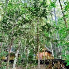 ニングルテラス
新富良野プリンスホテル敷地内
緑も綺麗ですが、10月半ばには見事な紅葉に出会えるのではないでしょうか。