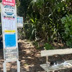 竹富島
🐈
🐃
🏝️
☀️