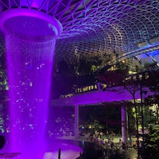 JEWEL
この電車乗りたかったのにまた乗れず！
#202406 #sシンガポール