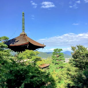 京都　常寂光寺

京都の街を眺めながら