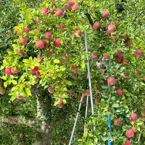 道の駅 ふくしま
