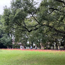 2024.10.6
とっても広い公園。彼岸花は見頃過ぎていたけど、遅咲きのひまわりが咲いてました。
レジャーシートひいて、ピクニックができます。キッチンカーもあり。ドッグランもあるからか、ワンちゃんいっぱいでした。