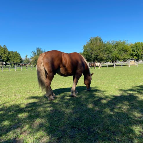 サッポロさとらんど