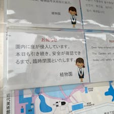 鹿がいて見ることができず、残念😢
次行ったら入ってみたい。