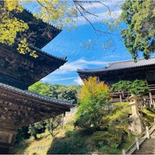 兵庫
法華山一乗寺

静かなお寺をゆっくりと
散策できました