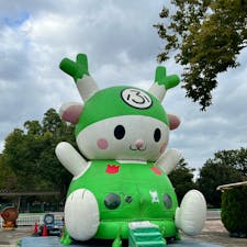 【わんぱくランド　仙元山公園】
in埼玉県深谷市

こちらの公園は変形自転車が沢山あり大人200円•子供100円で30分間、好きな自転車乗り放題でした✨
季節が秋になり風も気持ちいい日だったので子供との自転車漕ぎがいい運動に✨
他にもバッテリーカーや深谷市のゆるキャラ、ふっかちゃんの遊具？もありました！
変形自転車は4人や2人、3人で乗れるものもありました✨

2024.10.15🍂
