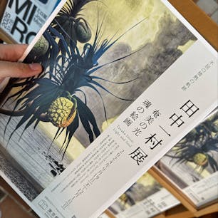 東京都美術館では、田中一村展
芸術の探究に生涯を捧げた孤高の画家です。
奄美の風景も美しく、芸術の秋にいかがでしょうか？

#奄美
#田中一村