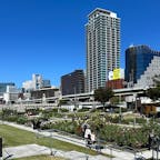 大阪・中之島にある中之島公園では、秋バラの季節を迎えます。
ピンクや紅色、黄色など、春とはひと味違うバラの花を楽しめますよ♪

#大阪 #中之島 #中之島公園 #秋バラ #北浜