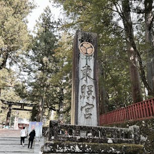 小学生以来の日光観光でした。懐かしかったし、大人になって観るとまた違いますね。