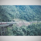 6月は暑すぎず、窓からの風が気持ち良い
#キュランダ鉄道
#ケアンズ