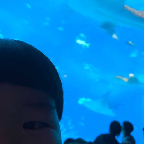 沖縄美ら海水族館