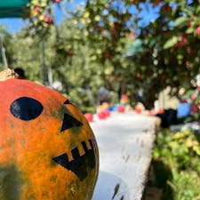 福島郊外の宿泊もできる果樹園、あんざい果樹園は季節に応じてマルシェや陶器市などのイベントが開催されます。

日曜日は秋のマルシェが開催されて、美味しいものあり、音楽ありで大盛況でした。



#福島市 #あんざい果樹園 #福島県
