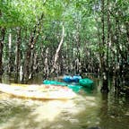 石垣島・吹通川のマングローブカヤックツアーに参加しました。大自然に癒され、ジャングルを冒険するようでワクワクしました。