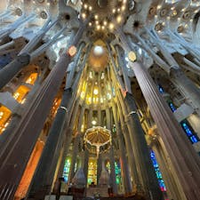 2024/8/22  サクラダファミリア内部
壮大偉大
#バルセロナ  #Barcelona
#スペイン  #Spain