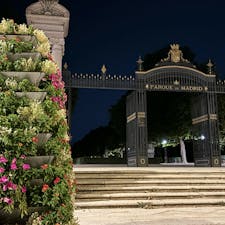 2024/8/18  レティーロ公園
夜のお散歩
#マドリード  #Madrid
#スペイン  #Spain