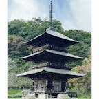 安久津八幡神社の所にある三重塔です。

#山形県
#安久津八幡神社
#三重塔
24.10.29