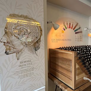 2024/8/14  フラゴナール香水美術館
Musée du parfum Fragonard
なんでも高いヨーロッパでなんと入場無料
嗅覚に基づく記憶は最もパワフル、らしいよ
#パリ  #Paris
#フランス  #France