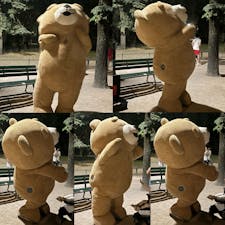 2024/8/15  エッフェルからの帰りに
あまりに首座ってない🐻いて笑った
#パリ  #Paris
#フランス  #France