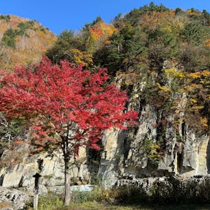 雲ひとつなく、穏やかな天気のもと、いつまでも川の音に癒されながら景色を見ていられました。