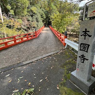本圀寺

京都山科にあるお寺。
日蓮宗の大本山との事で
立派な境内でした。
2024.10.27