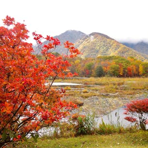福島県の観音沼森林公園。
紅葉の見頃は今週末ぐらいまでかな。
沼の周りを一周できて、見どころもたくさん。

#福島県 #観音沼森林公園