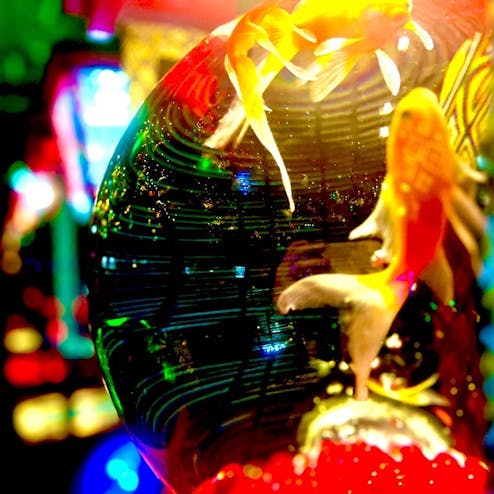 アートアクアリウム美術館 GINZA