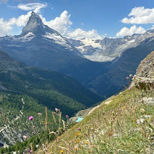 2024/8/12  マッターホルンハイク
Riffelalp (2,222m) からはるばる歩いた1日
【Naturweg】
③グリュンゼー Grünsee (2,300m)
【5-Seenweg】
④グリンジーゼー Grindjisee (2,334m)
⑤シュテリゼー Stellisee (2,537m)
【Murmelweg】 
Blauherd (2,571m) まで！

ユングフラウのハイクを考えると、
岩すべりながら歩いたり泥まみれたり優しさには乏しい。
ほぼ休まずこの道はるばるきたと思ったら我らすごい。
オリンピック🥇🥈🥉の石もみつけた。
なんかBlauherdちかく🪨ぴかぴかやった🌟
#ツェルマット  #Zermatt
#スイス  #Switzerland
#ハイキング