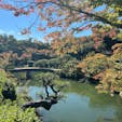 兵庫県/神戸市立相楽園

都会のなかにある池泉回遊式日本庭園で、飛石や石橋を渡り、流れや滝など深山幽谷の景を見ることができます。
紅葉には少し早かったです。


#puku2'24
#puku2"11
#兵庫#神戸#日本庭園