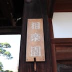 【相楽園】神戸市（元町駅、県庁前駅）
住宅街に佇む相楽園は、どっしりと構える総ケヤキ造の正門が素晴らしい。
また、神戸市の都市公園で唯一の日本庭園、蘇鉄園、樹齢約500年と伝えられる大クスノキなど、見応えたっぷり。
隣接する「THE SORAKUEN」は、結婚式場としも人気。
相楽園内で、新郎新婦の写真もよく撮られています。