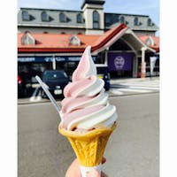 道の駅　岩城
ぶどうとジャージーミックスソフト

#秋田県
#道の駅岩城
24.11.01