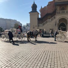 ポーランド　クラクフ

中央市場

アウシュビッツ収容所